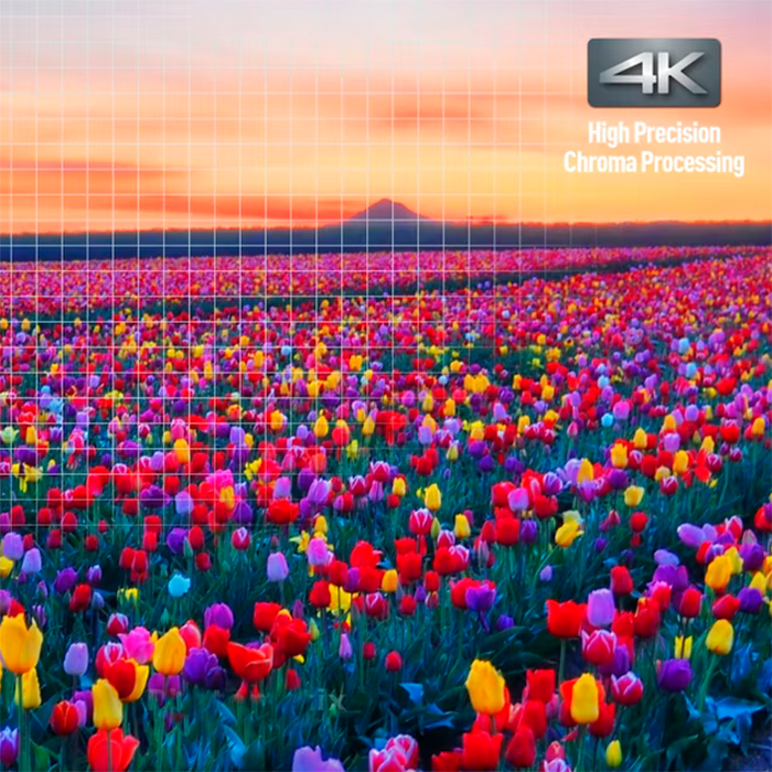 Panasonic DP-UB9000 4K High-Precision Chroma -kuvankäsittely