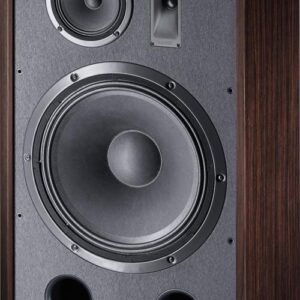 Magnat Transpuls 1500 15" Retrokaiutin